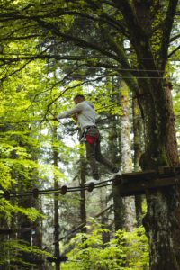 Belfort accrobranche