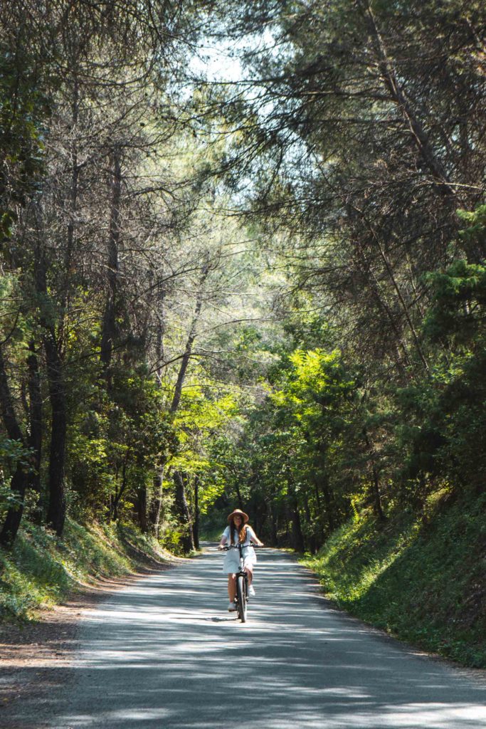 piste cyclable le long du Var