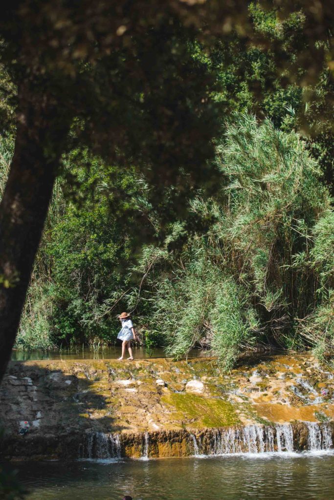 vigne à vélo Dracénie La Clappe