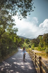 vigne à vélo Dracénie La Clappe