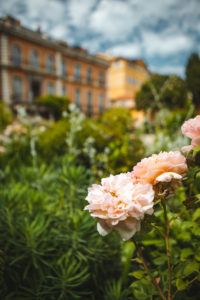 Grasse musée d'art et d'histoire de Provence jardins