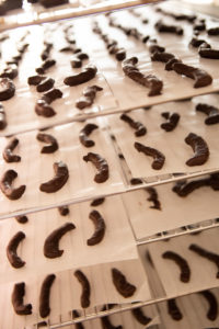 Grasse chocolaterie maison duplanteur