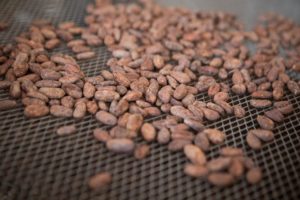 Grasse chocolaterie maison duplanteur