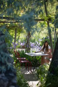 jardins du musée international de la parfumerie MIP Mouans Sartoux