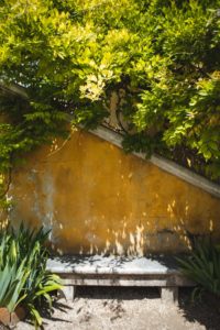 Grasse jardins du musée international de la parfumerie MIP