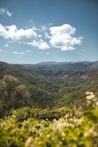 Saint Cézaire sur Siagne Alpes Maritimes