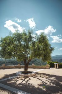 Saint Cézaire sur Siagne Alpes Maritimes