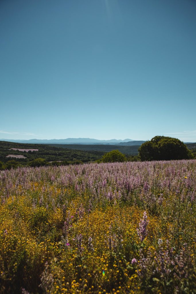 luberon