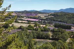 luberon
