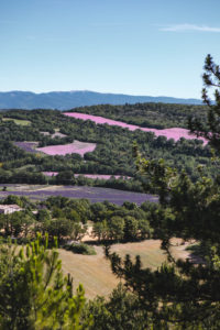 luberon