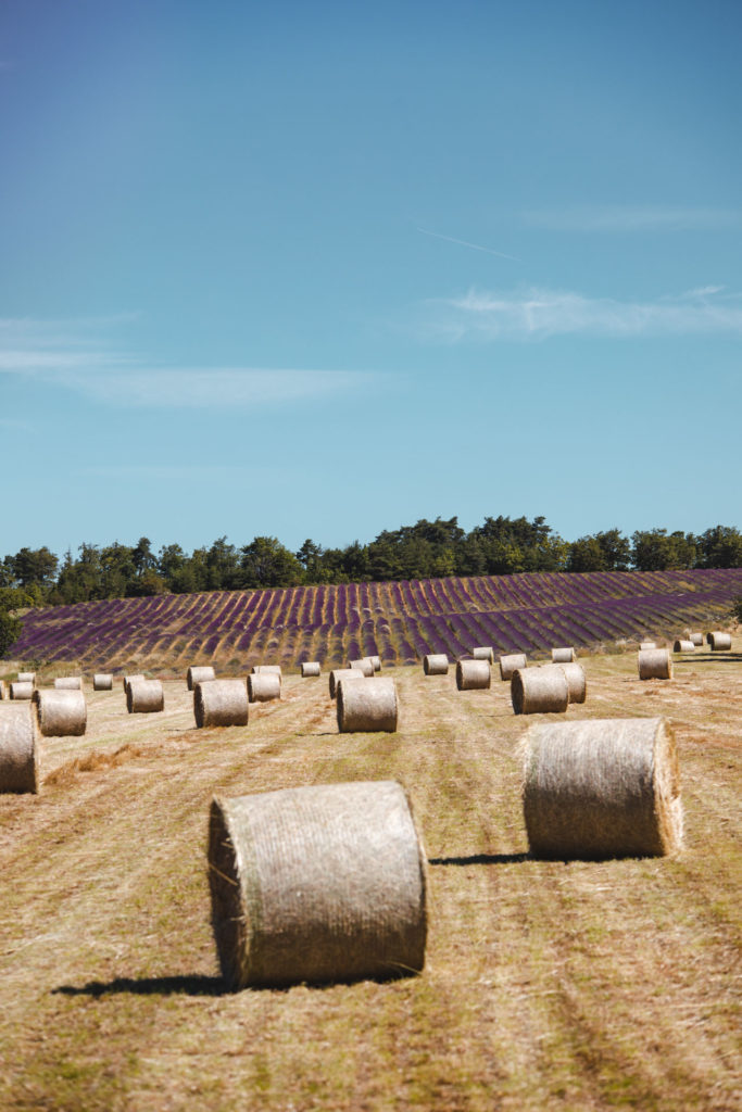 luberon