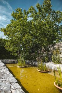Salagon Mane Alpes de Haute Provence