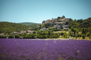 Simiane-la-Rotonde Alpes de Haute Provence lavandes