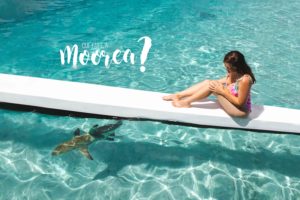 Que faire à Moorea