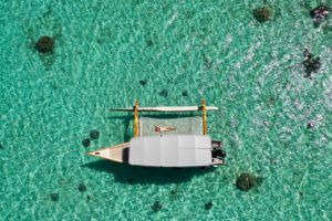 bora bora requins raies