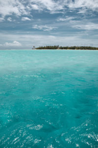 sortie raie manta maupiti