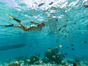 jardin corail bora bora