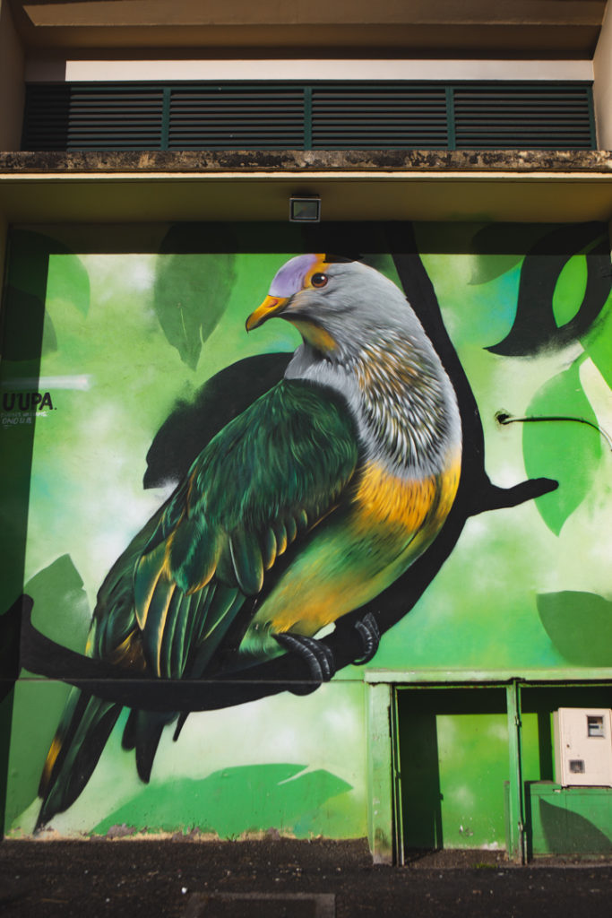 street art raiatea