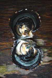 ferme perlière tahaa