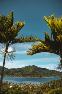 ile tahaa