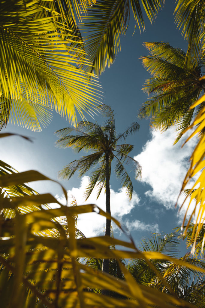 Tahaa by pearl resort