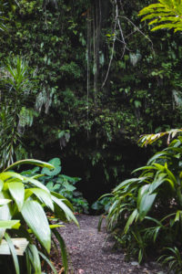 grotte de maara