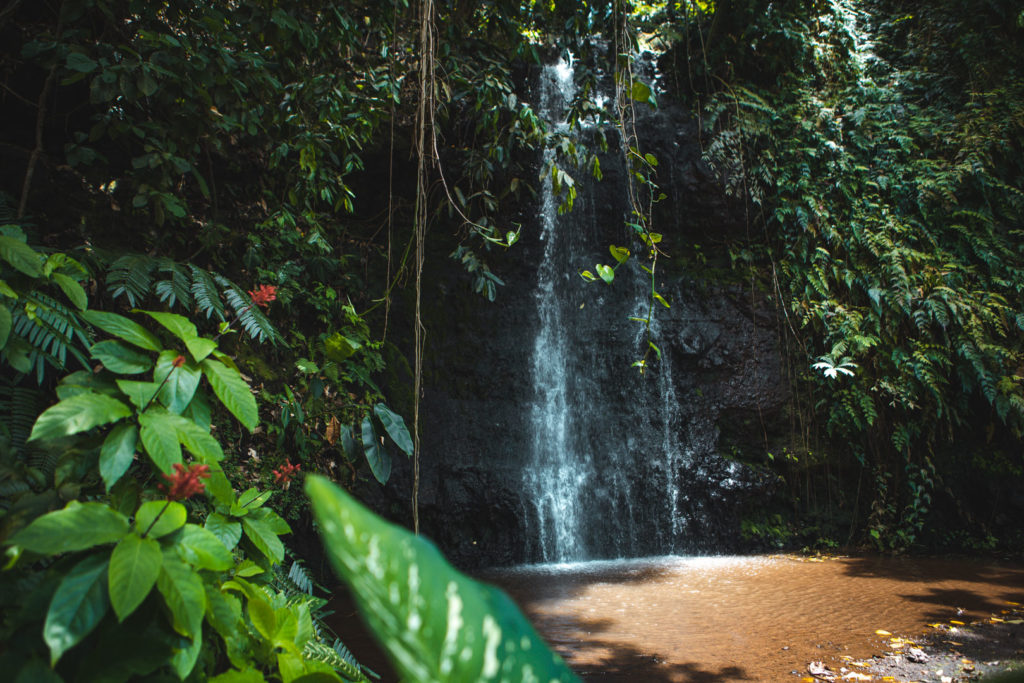 jardin d eau tahiti