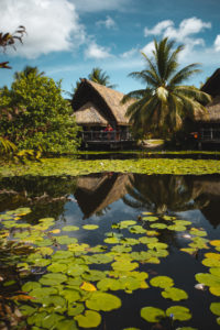MaiTai Huahine