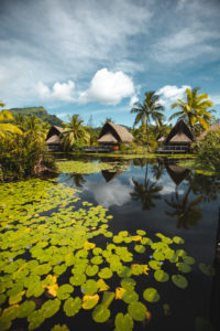 MaiTai Huahine