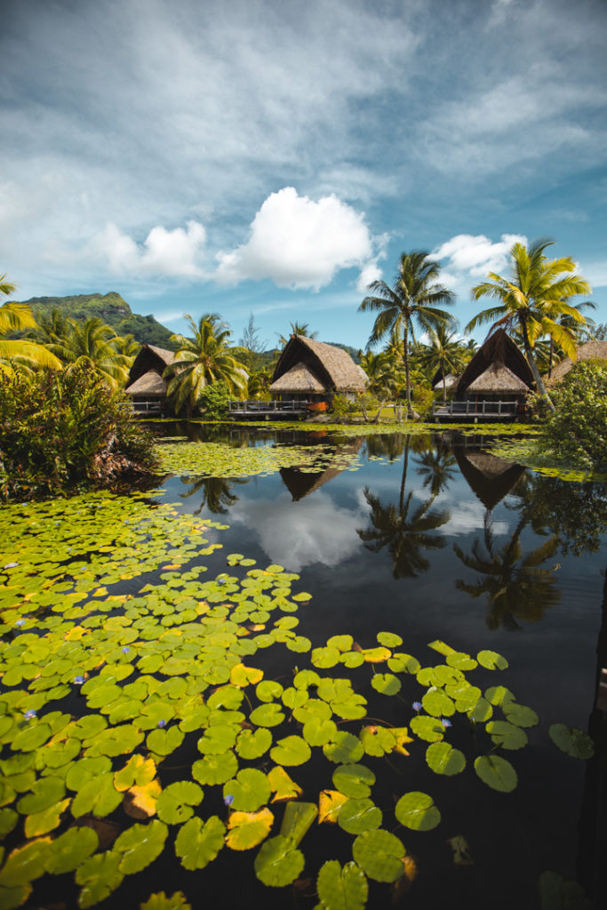MaiTai Huahine