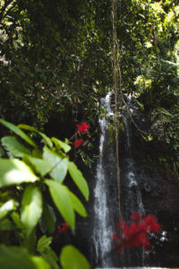 jardin d eau tahiti