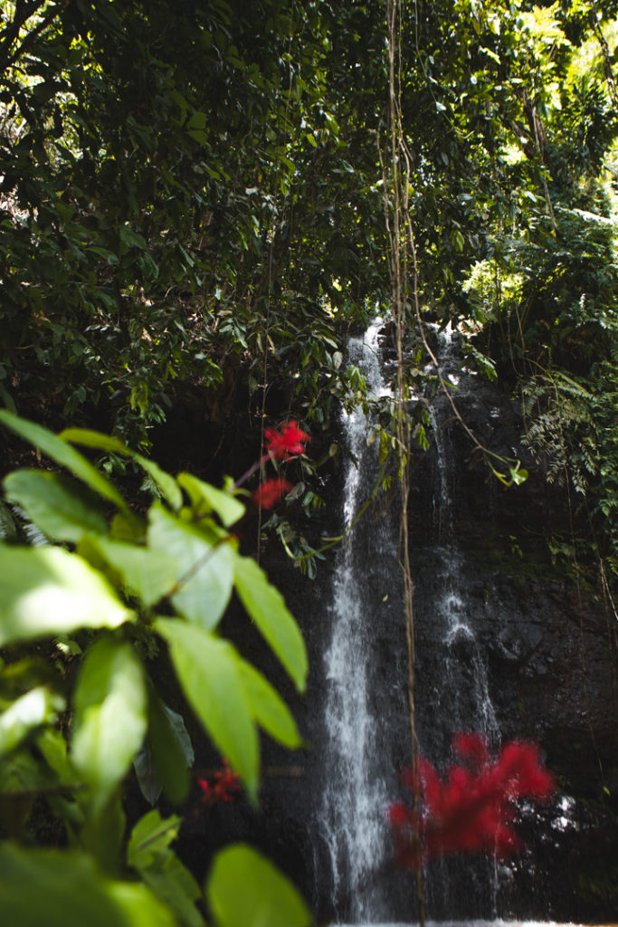 jardin d eau tahiti