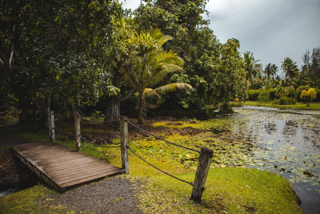jardin d eau tahiti