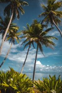 plage sofitel huahine