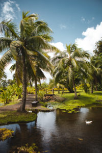 jardin d eau tahiti