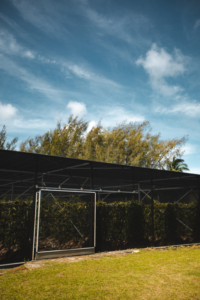 plantation vanille Huahine