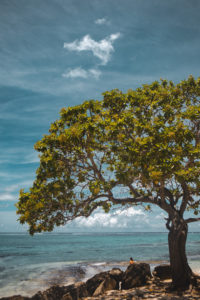marae anini huahine