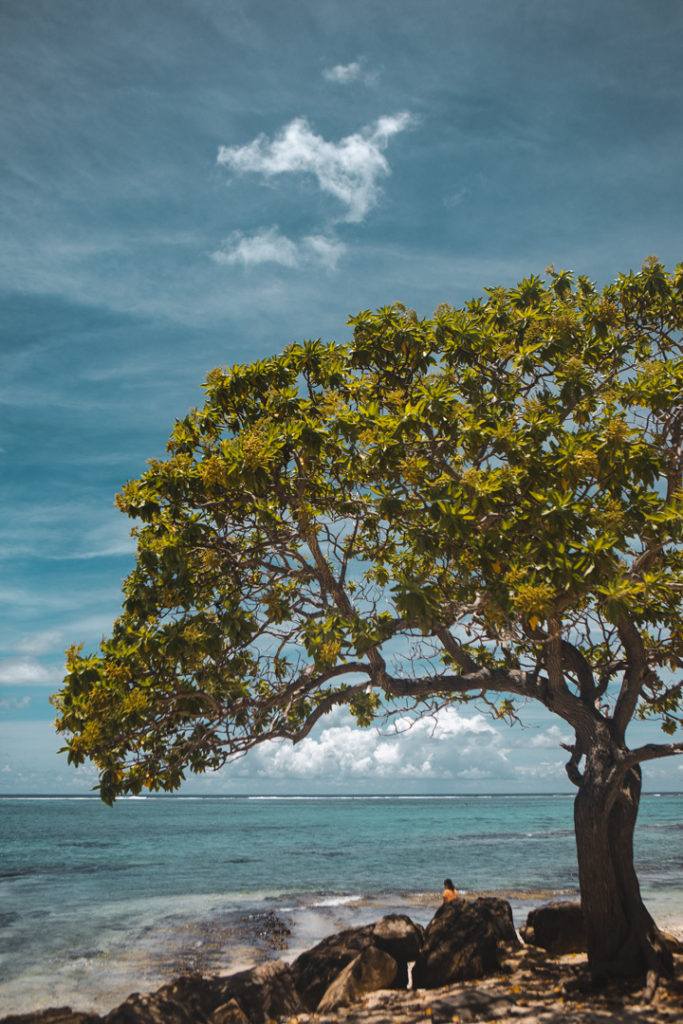 marae anini huahine