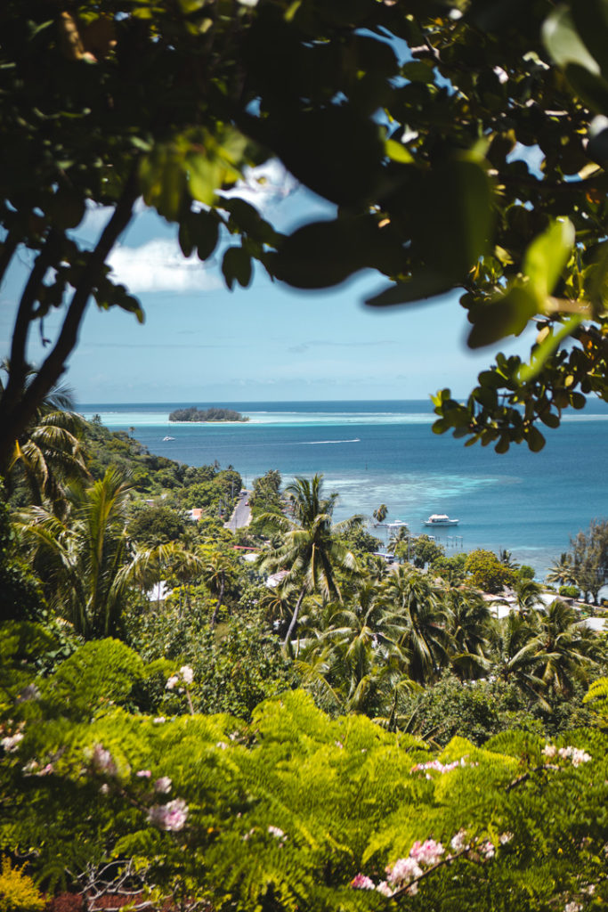 holidays lodge bora bora
