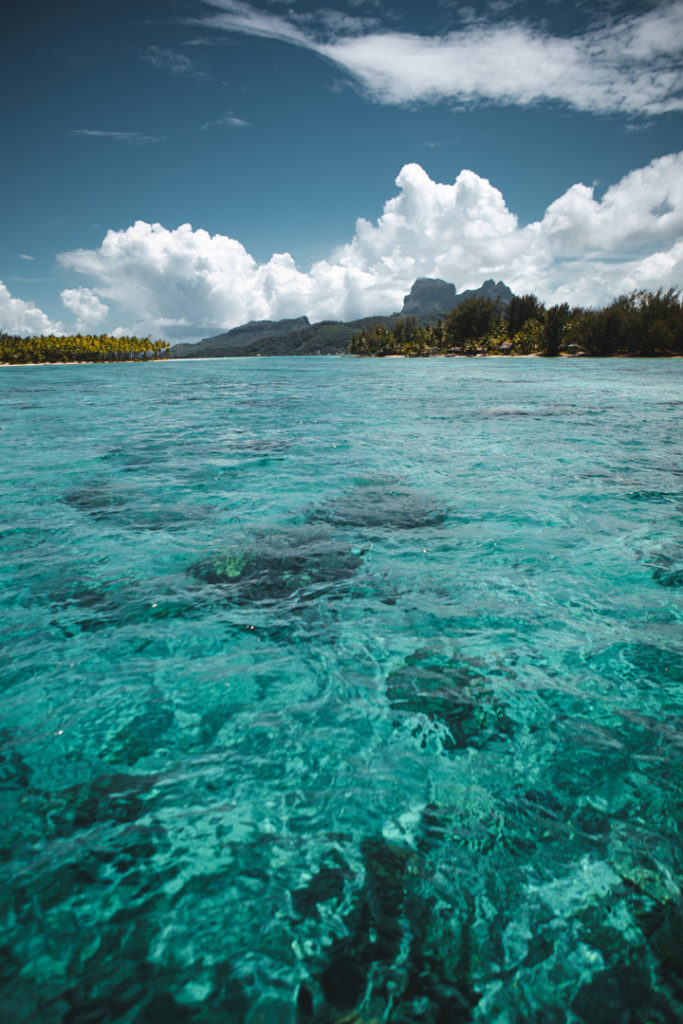 jardin corail bora bora
