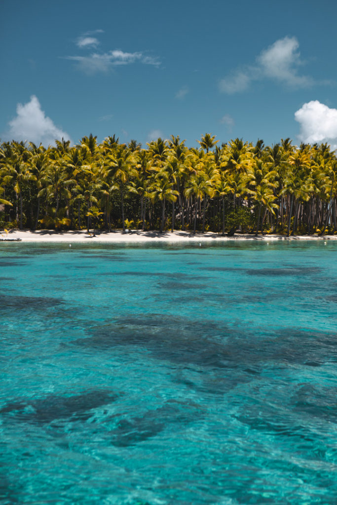 jardin corail bora bora
