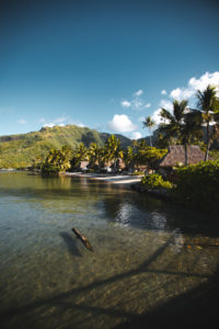 manava moorea