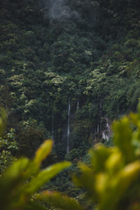 moorea