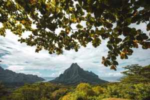 baie opunohu moorea
