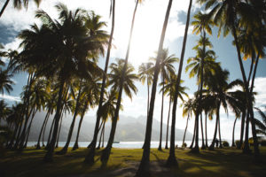 plage moorea