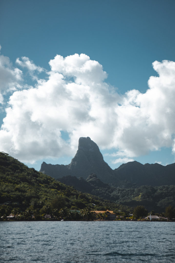 moorea