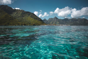 sortie bateau moorea