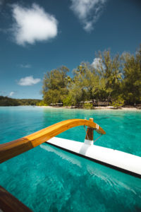 raies requin moorea