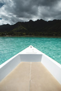 raies requin moorea