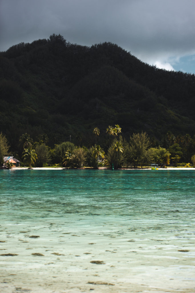 moorea